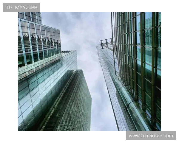 尊龙网址集团客户服务体系的全面升级与优化 尊龙网址集团客户服务体系的全面升级与优化