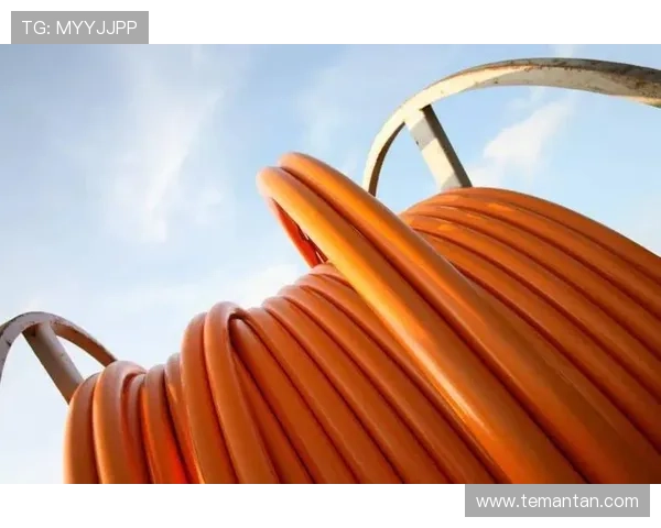 尊龙凯时质谱系统在环境检测中的创新应用与性能提升方案 尊龙凯时质谱系统在环境检测中的创新应用与性能提升方案