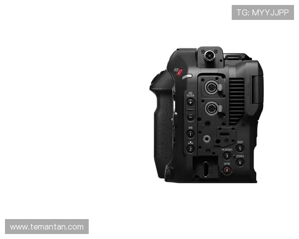 z6尊龙官方网站入口官方最新版本下载，确保用户体验流畅无障碍