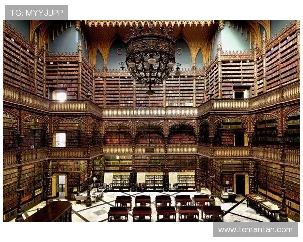 尊龙的网址官方平台介绍及其提供的主要服务内容